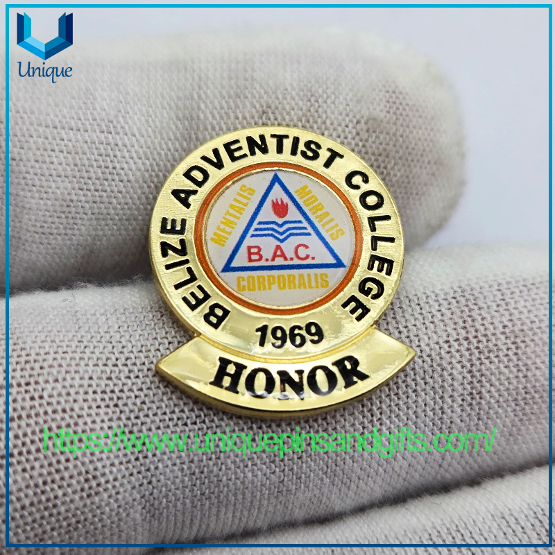 Custom 3D Metal School Brooch Lapel Pin Badge College Honor Badge SJC Nursing Badge