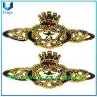 Custom Metal Art Crafts 3D Logo Lapel Pins Badges Plating Gold Uniform Butterfly Clutch Emblem for USA Air Force Security