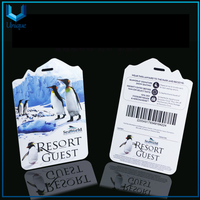 Custom Printing Membership Card, Unique Creative Design Plastic Card, Personalized Fashion Business Name Card 