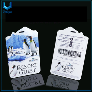Custom Printing Membership Card, Unique Creative Design Plastic Card, Personalized Fashion Business Name Card 