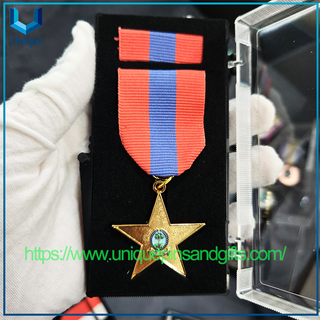 Custom Distinguished Service Police Medal Seychelles Silver Enamel Award Medal with Ribbon